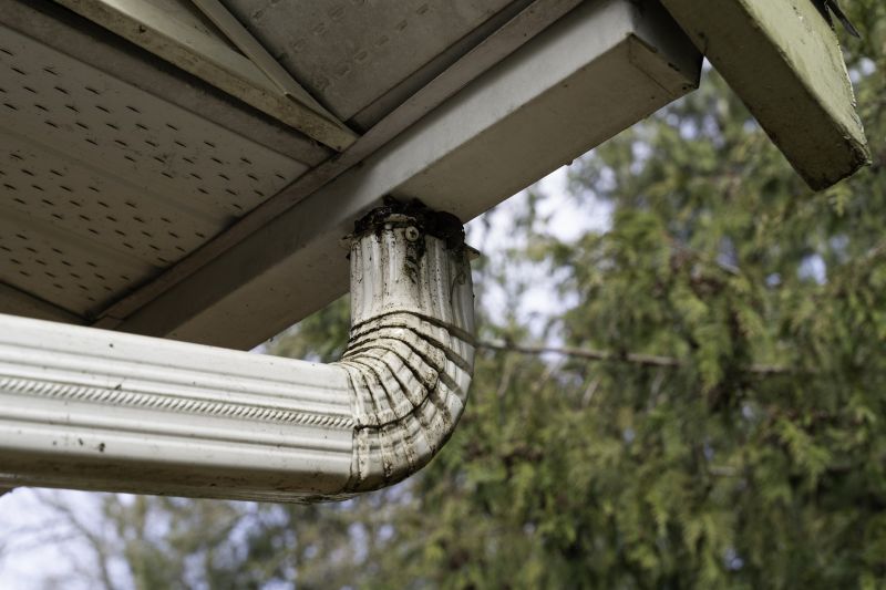 Cleaning Downspouts