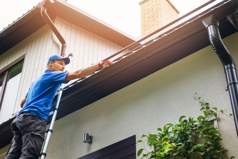Climbing Safety Gear for Gutter Cleaning