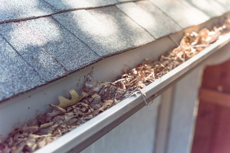 Clogged Gutter Blockages