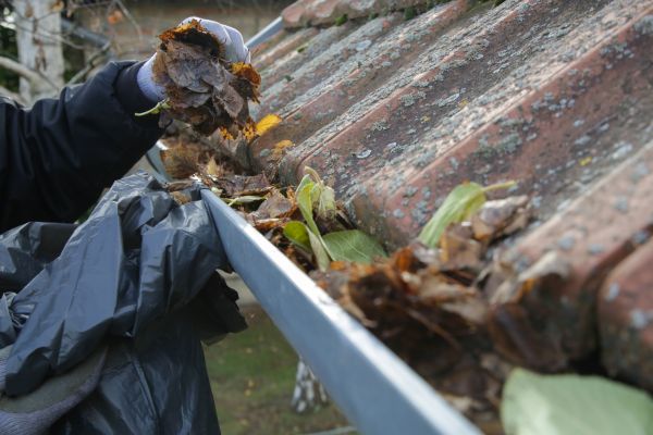 Commercial Gutter Unclogging in Gilbert