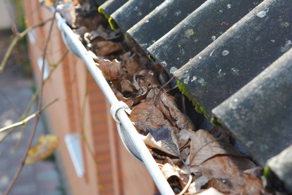 Home Gutter Cleaning in Gilbert