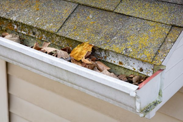 Garage Gutter Cleaning in Gilbert