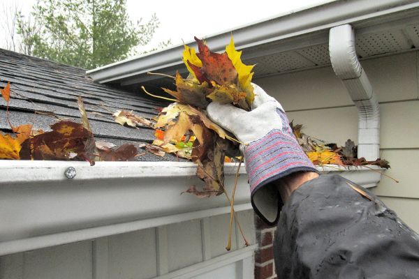 Gutter Leaf Clearing in Gilbert