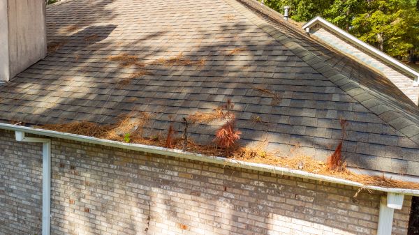 Gutter Pine Needle Removal in Gilbert