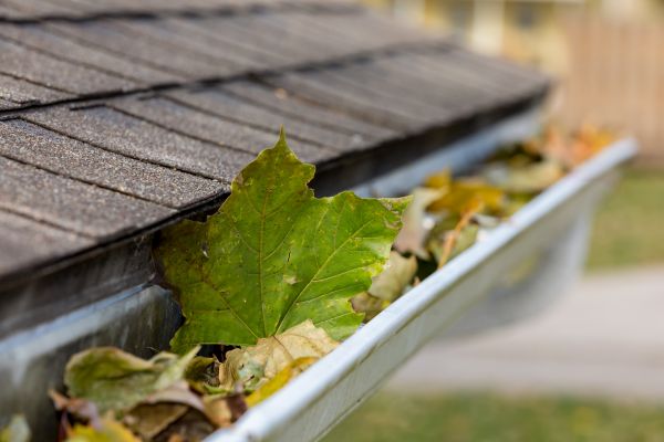 Gutter Leaves Removal in Gilbert